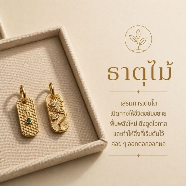 จี้ชาร์มทอง ธาตุทั้ง 5 พลอยประจำธาตุ ทอง ดิน น้ำ ไม้ ไฟ เสริมดวง ฮวงจุ้ย Mooniverse