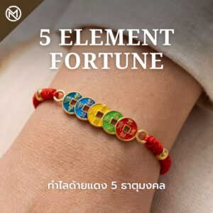 ปก สร้อยข้อมือเชือกแดง ด้ายแดงมงคล + เหรียญจีน 5 ธาตุ 5 สี เสริมโชคลาภ การเงิน ฮวงจุ้ย ปรับขนาดได้ สายมู
