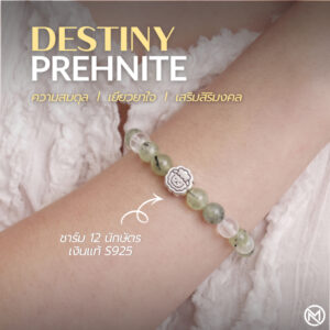 ปก กำไลหินมงคล พรีไนต์ (Prehnite) เสริมสมดุล ฟื้นฟูจิตใจ ชาร์มนักษัตรน่ารัก เงินแท้ S999 รุ่น Destiny