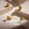 จี้ 12 นักษัตร คอลเลกชัน "Golden Mellow" จี้ทองแมตต์ สไตล์มินิมอล 3D Chibi เสริมดวง น่ารัก เรียบหรู Mooniverse