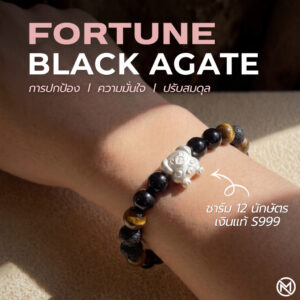 กำไลหินมงคล แบล็กอาเกต Black Agate ปกป้องคุ้มครอง เสริมความมั่นใจ ชาร์มนักษัตร เงินแท้ S999 Fortune
